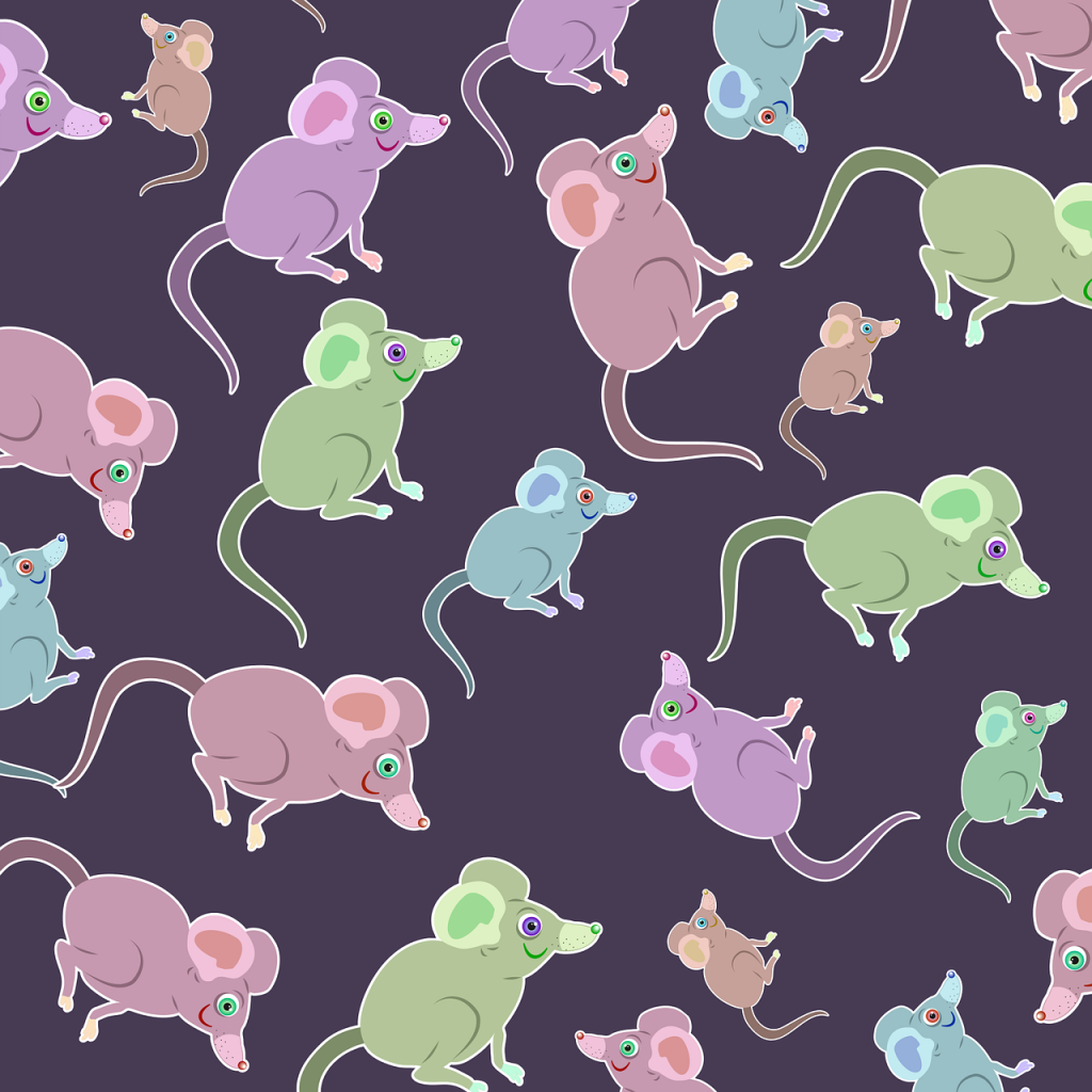 animals, mice, mouse-1719279.jpg