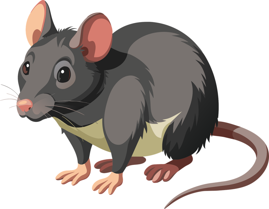 ai generated, mouse, rat-8675104.jpg